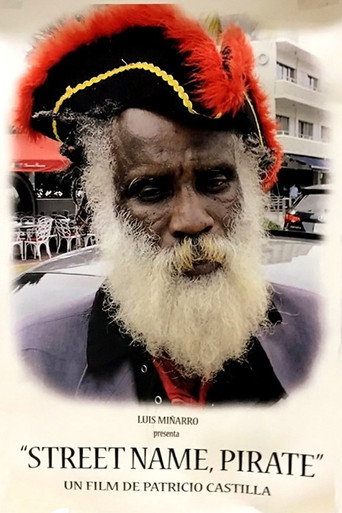 Movie poster for Street Name Pirate (2016)