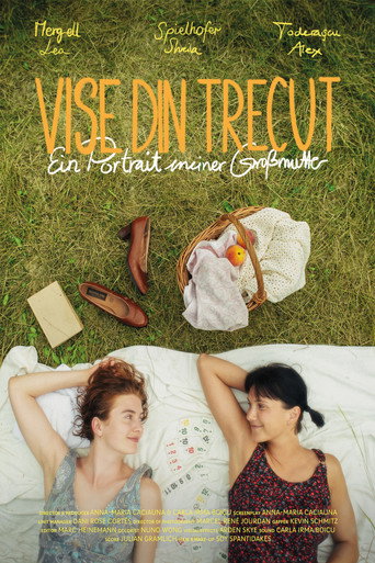 Movie poster for Vise Din Trecut - A portrait of my grandmother