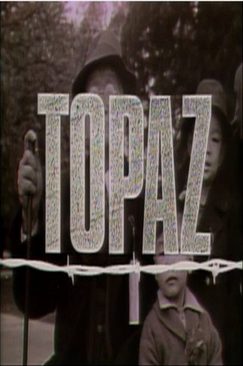 Movie poster for Topaz (1987)