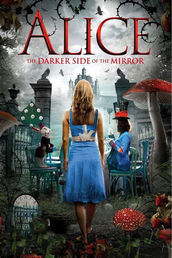 Movie poster for The Other Side of the Mirror (2016)