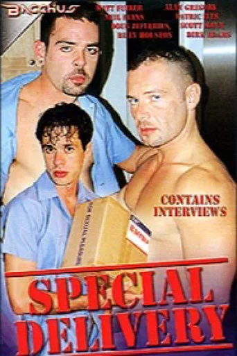 Movie poster for Special Delivery (2002)