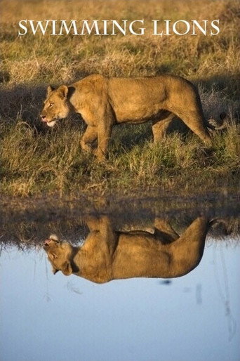 Movie poster for Swimming Lions (2003)