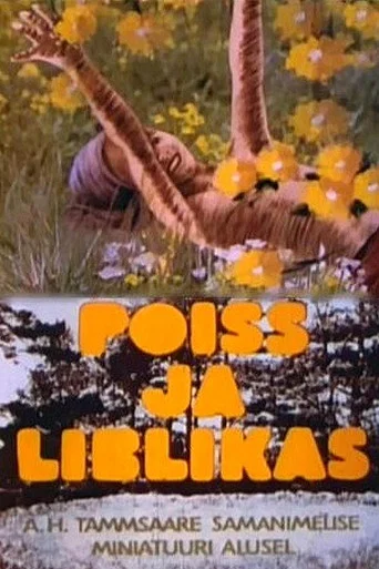 Movie poster for The Boy and the Butterfly (1978)