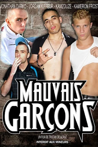 Movie poster for Mauvais Garçons (2013)