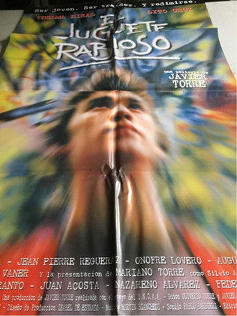 The Angry Toy poster