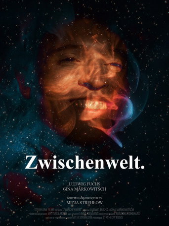 Movie poster for Zwischenwelt