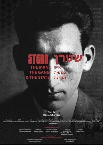 Movie poster for Stern: The Man, the Gang, and the State