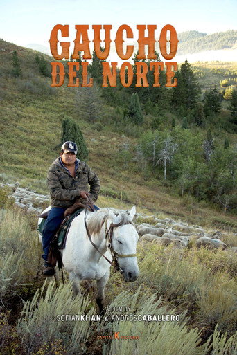 Movie poster for Gaucho del Norte