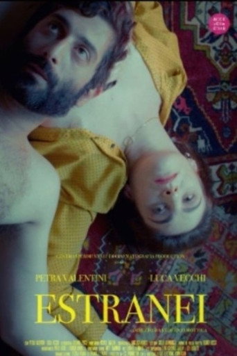 Movie poster for Estranei (2020)