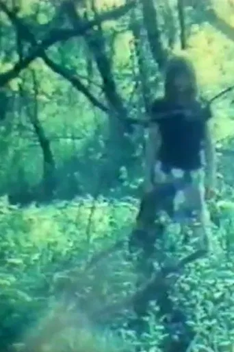 Diary Films I - V poster