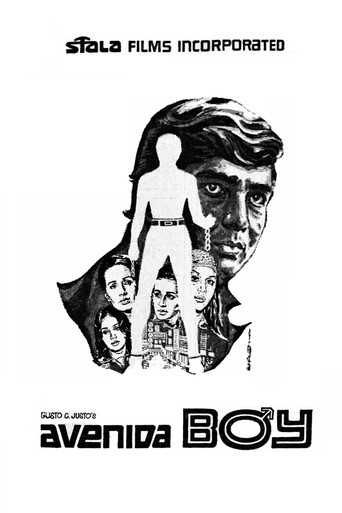 Movie poster for Avenida Boy (1971)
