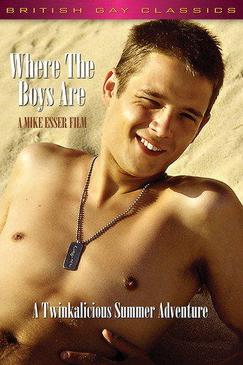 Movie poster for Where the Boys Are (1996)