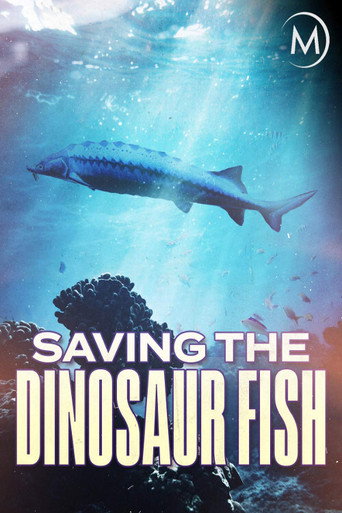 Movie poster for Saving the Dinosaur Fish (2020)