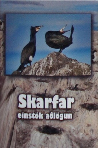 Movie poster for Skarfar (2010)