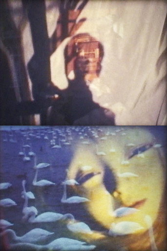 Movie poster for Filmletter★oufuku IV (1999)