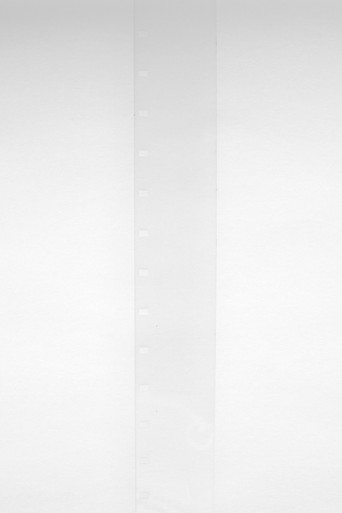 Movie poster for Film for Invisible Ink, Case No. 142: ABBREVIATION FOR DEAD WINTER  [Diminished by 1,794] (2008)