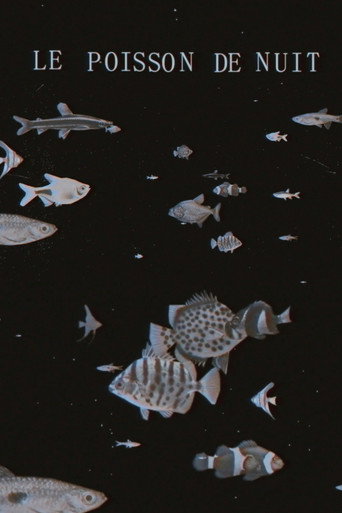 The Night Fish poster