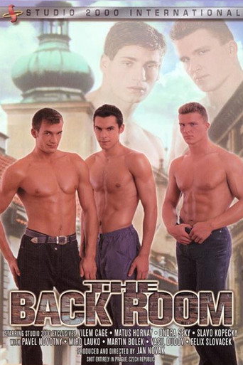 Movie poster for The Back Room (2001)