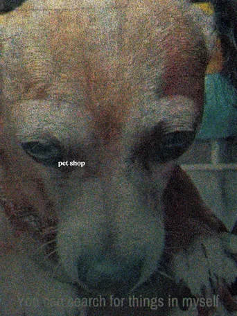 Movie poster for Pet Shop (2026)