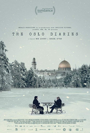 Series poster for The Oslo Diaries (2018)