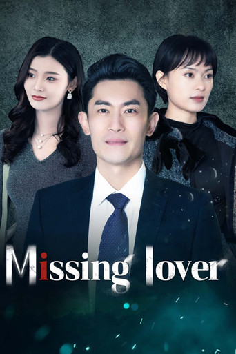 Missing Lover poster