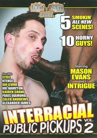 Movie poster for Interracial Public Pickups 2 (2015)