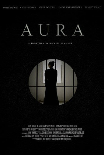 Movie poster for Aura
