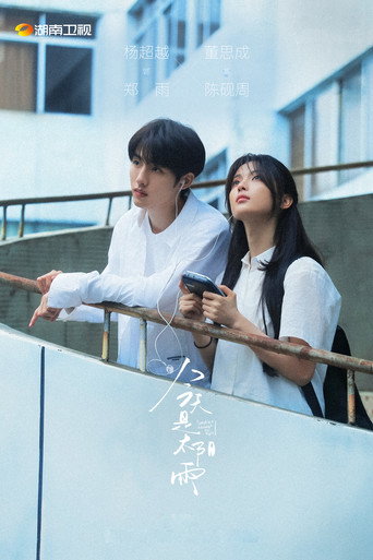 Sunshine Through the Rain poster