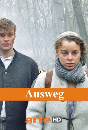 Ausweg poster