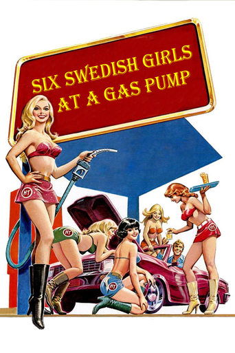 Movie poster for Six Swedish Girls at a Pump (1980)