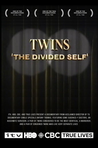 Twins: The Divided Self poster