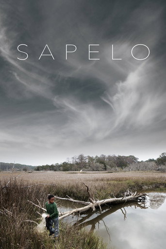 Movie poster for Sapelo (2020)