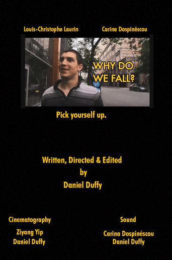 Movie poster for Why Do We Fall? (2012)