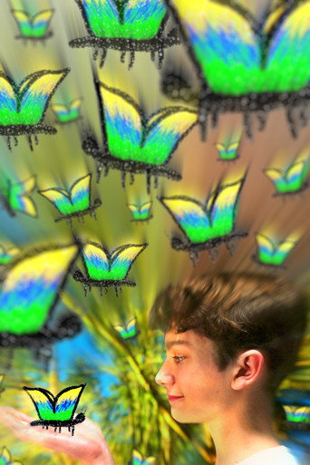 Movie poster for My Fascination With The Butterfly Effect (2025)
