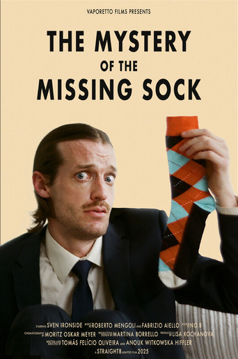 Movie poster for The Mystery of the Missing Sock (2025)