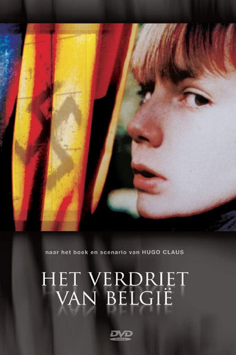 Het verdriet van België poster