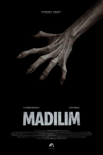Movie poster for Madilim (2026)