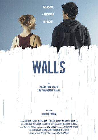 Movie poster for Walls (2015)
