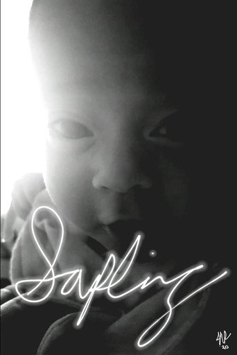 Movie poster for Sapling