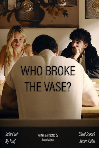 Movie poster for Who broke the vase? (2026)