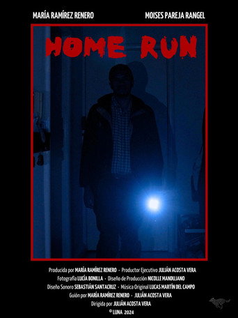 Movie poster for Home run (2024)