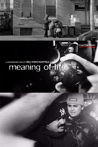 Movie poster for Meaning of Life (2008)