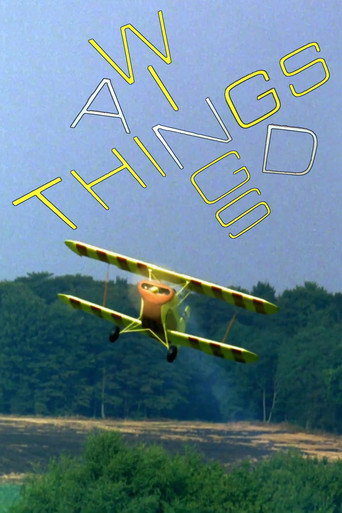 Movie poster for Wings and Things (1973)