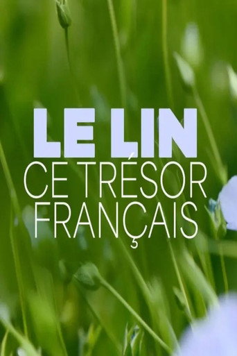 Movie poster for Le lin, ce trésor français (2025)