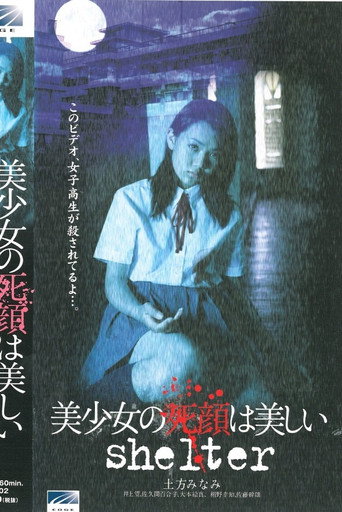 Movie poster for The Beautiful Dead Face of a Pretty Girl: shelter (2002)