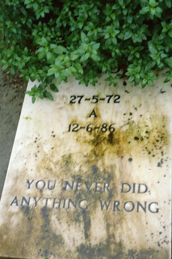 Movie poster for You never did anything wrong (2024)