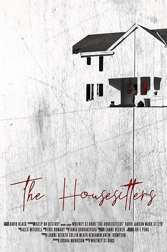 Movie poster for The Housesitters (2019)