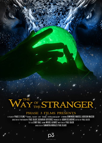 Movie poster for The Way of the Stranger (2024)