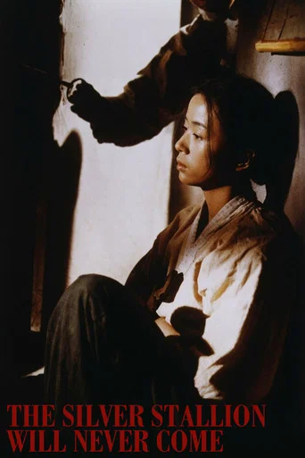Movie poster for The Silver Stallion Will Never Come (1991)
