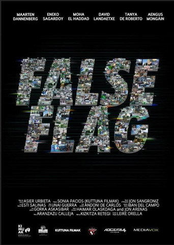 Movie poster for False Flag (2016)